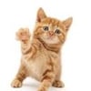 Kitty G. Kitty G.