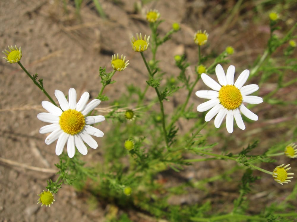 reviewer-profile-image