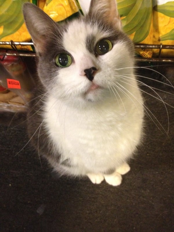 reviewer-profile-image