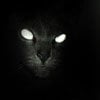 Kris T.'s Review
