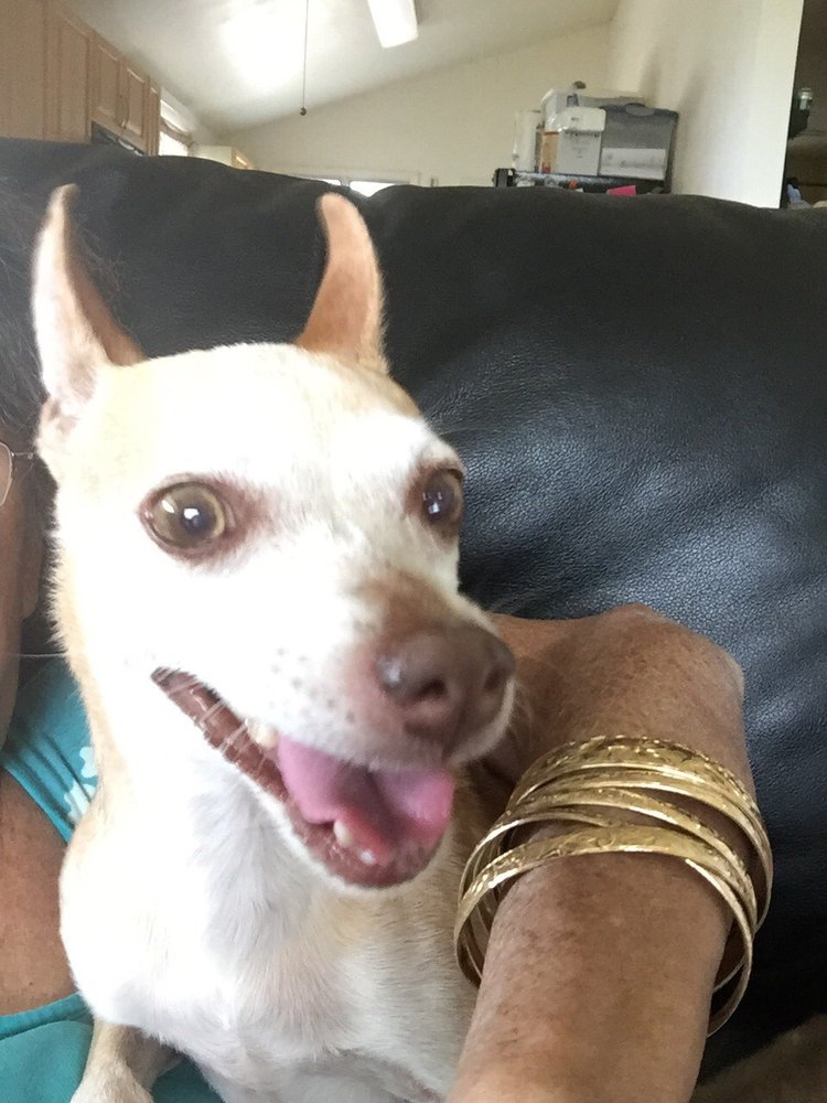 reviewer-profile-image