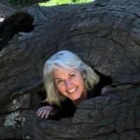 reviewer-profile-image