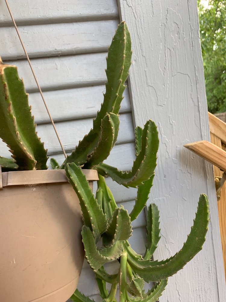 reviewer-profile-image