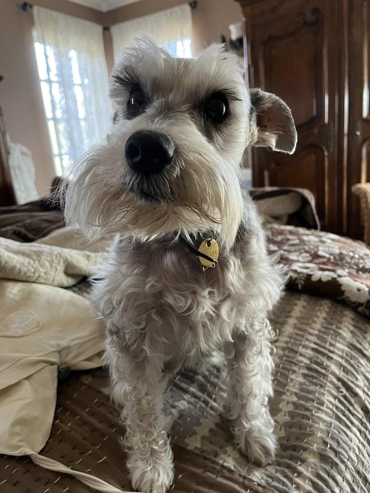 reviewer-profile-image